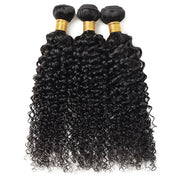 Malaysian Curly Weave Hair 3 Bundles with  Lace Closure Virgin Human Hair