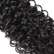 Indian Hair Curly Wave 3 Bundles with 4*4 Lace Closure Virgin Human Hair