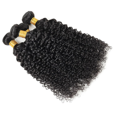 Malaysian Curly Wave 4 Bundles Virgin Human Hair Bundles