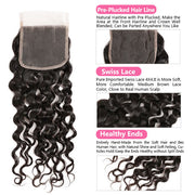 Brazilian Water Wave 3 Bundles  With Closure 